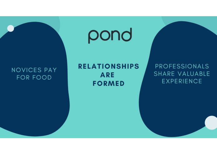 Pond – screenshot 8