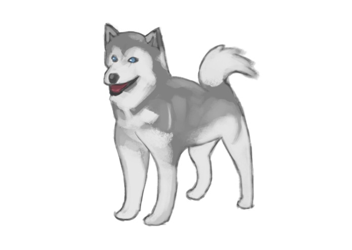 CatDogPerson – screenshot 3
