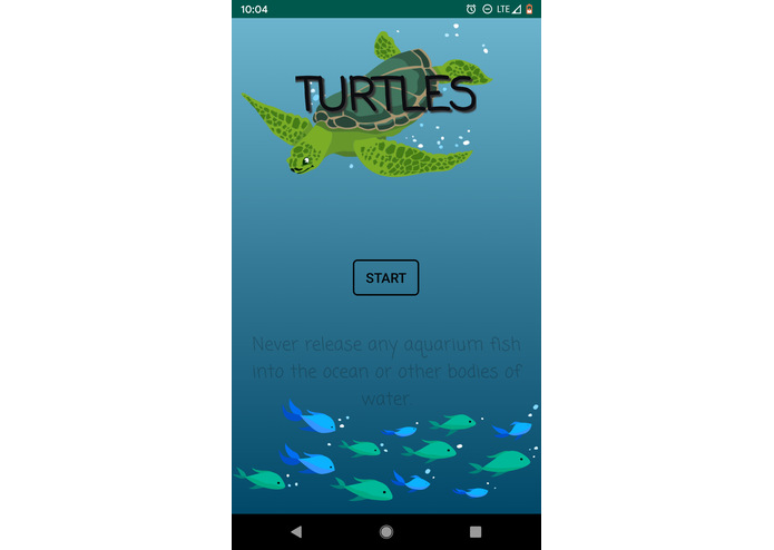 Turtles – screenshot 1