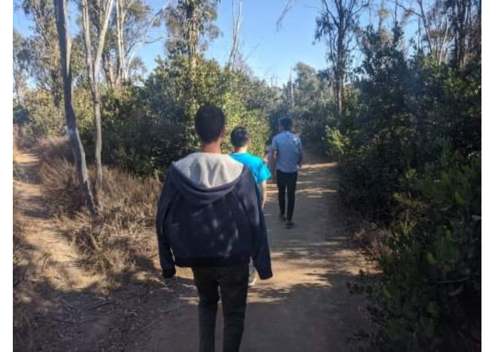 Turtles – screenshot 3