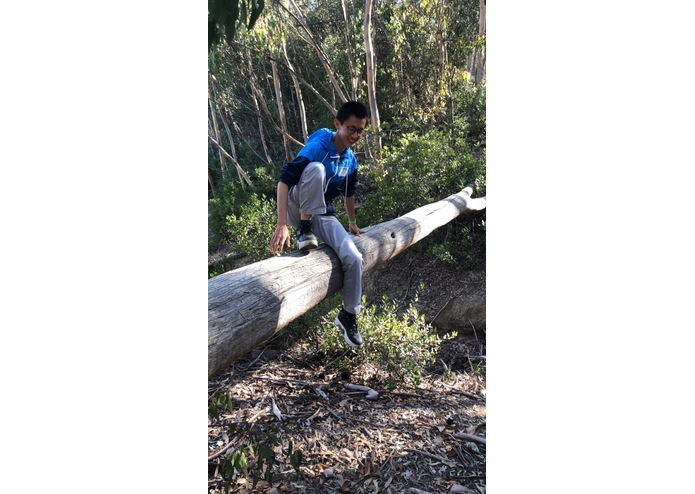 Turtles – screenshot 4