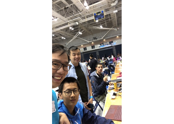 Turtles – screenshot 5