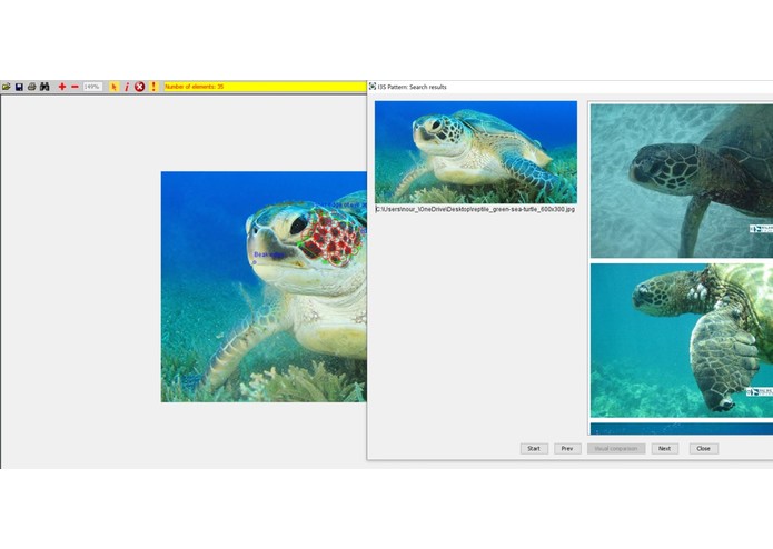 Limiting Animal Trafficking – screenshot 1