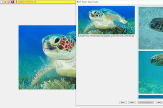 Limiting Animal Trafficking