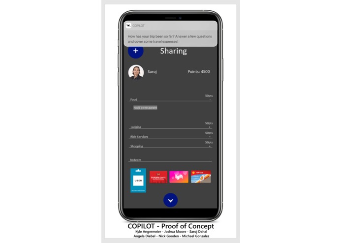 Copilot – screenshot 5
