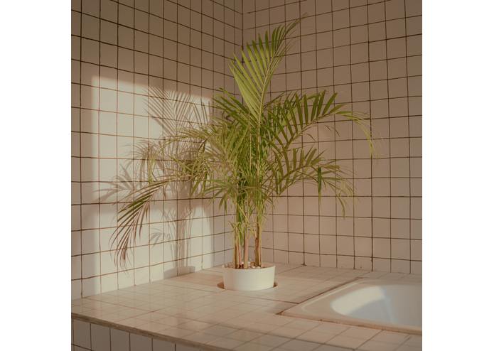 A Peaceful Message – screenshot 2