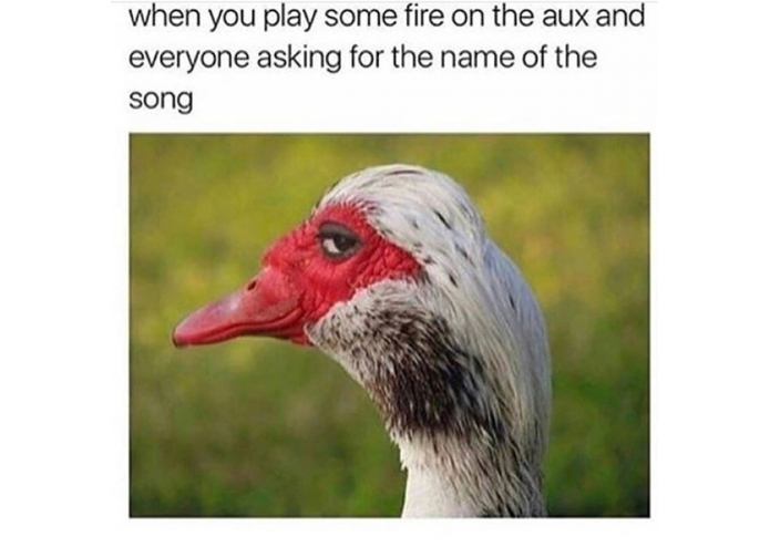 All Aux  – screenshot 1