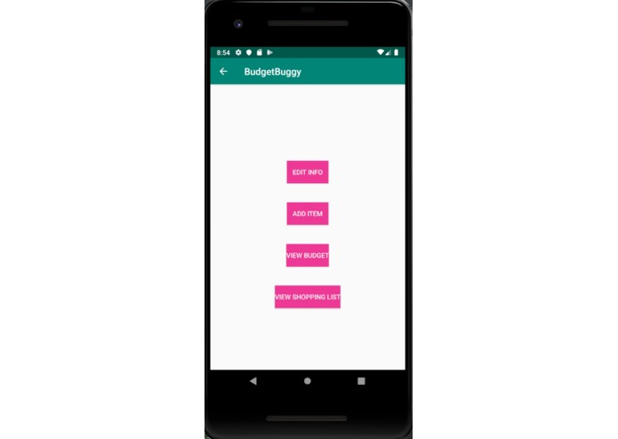 BudgetBuggy – screenshot 6