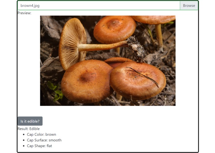 Eat The FunGus – screenshot 1