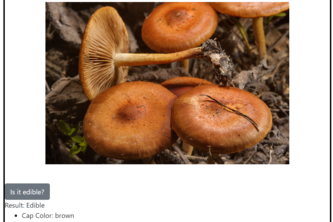 Eat The FunGus
