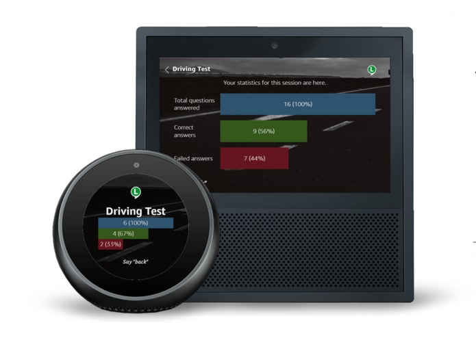 Driving Test Premium – screenshot 4