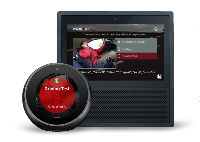 Driving Test Premium – screenshot 5