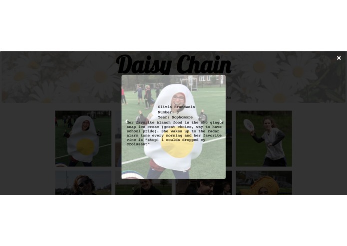 Daisy Chain Website – screenshot 3