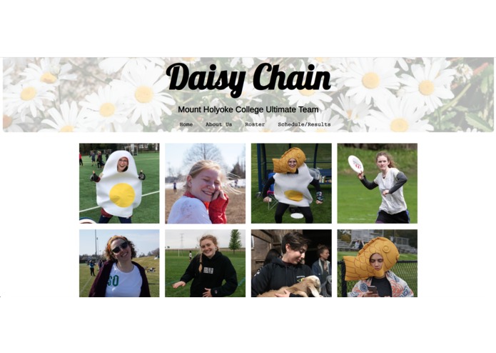 Daisy Chain Website – screenshot 4