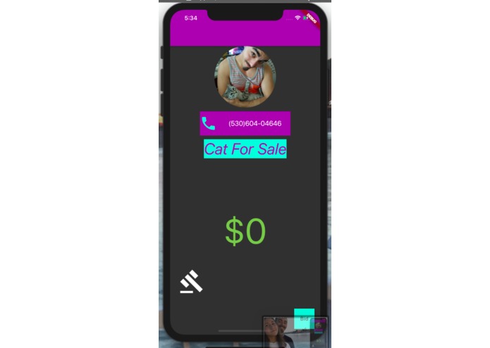 My project is an app that auctions off my girlfriends cat. – screenshot 1