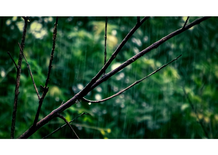 Best Rain Sounds – screenshot 9