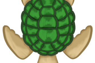 Trouble in Turtle Town