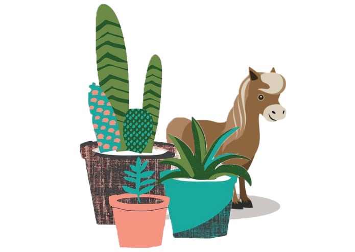 Li'l Sebastian's CITES Monitoring Tool – screenshot 1