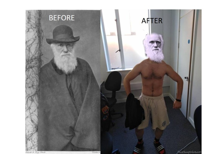 ΦIT.DARWIN – screenshot 2