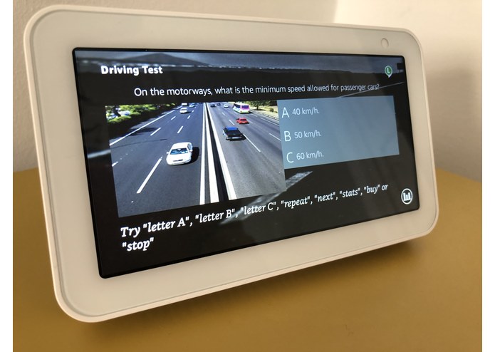 Driving Test Premium – screenshot 1