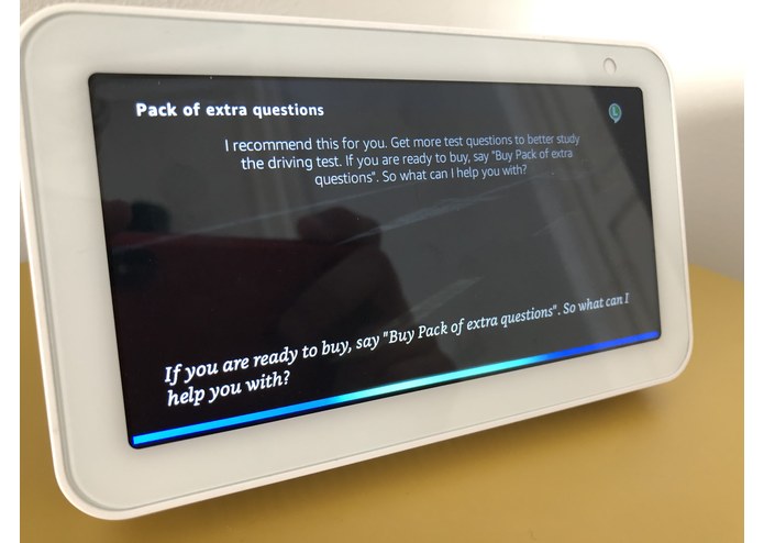 Driving Test Premium – screenshot 3