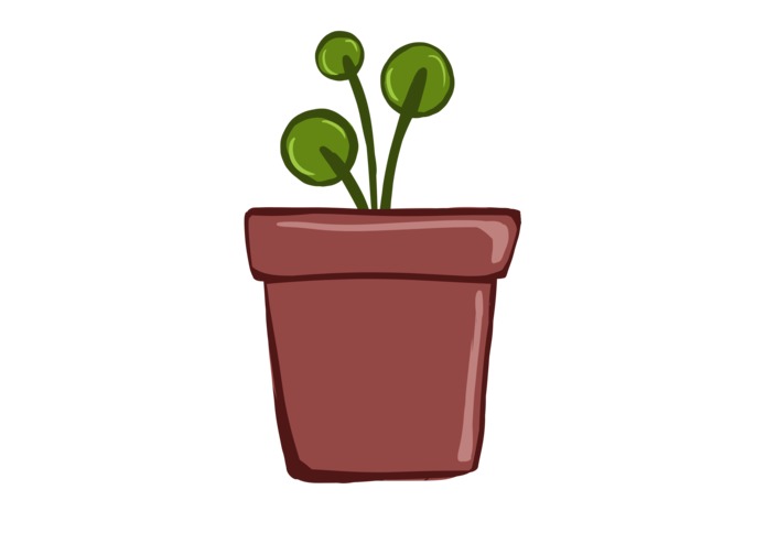 Project Plant – screenshot 3