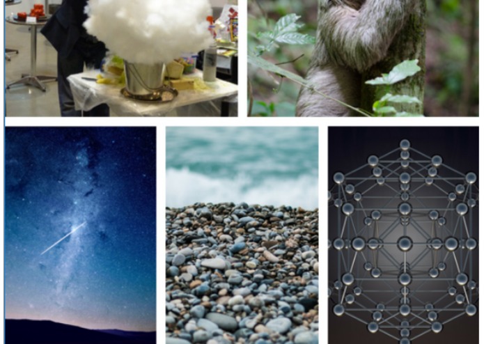 Hodgepodge Facts – screenshot 1