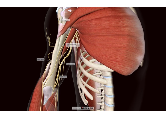 USMLE Board Review – screenshot 2
