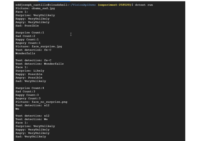 Image Recognition – screenshot 4