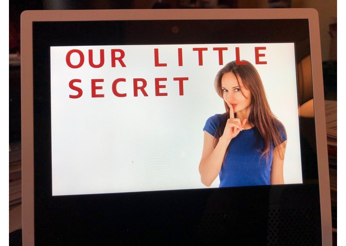 Our Little Secret – screenshot 1