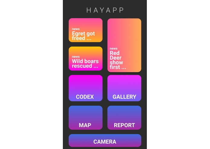 Hayapp – screenshot 3