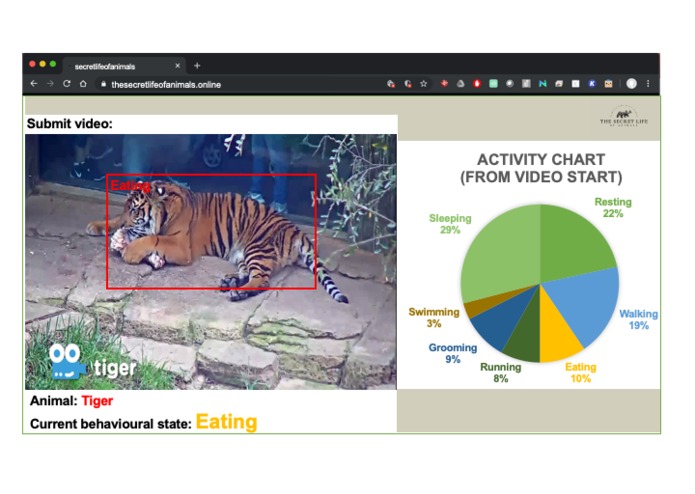 The Secret Life of Animals – screenshot 1