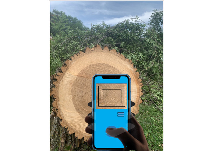 AMAZON SUSTAINABLE WOODS – screenshot 5