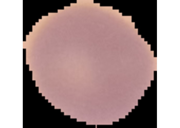 Neuroclass – screenshot 2