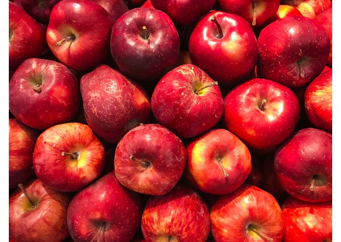 FRUITS2 – screenshot 1