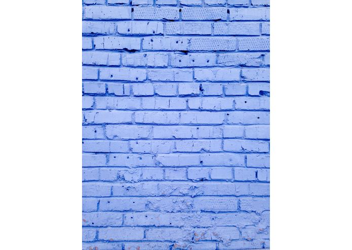 FRUITS2 – screenshot 7