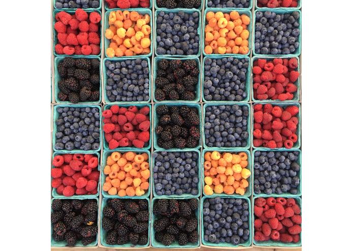 FRUITS2 – screenshot 11