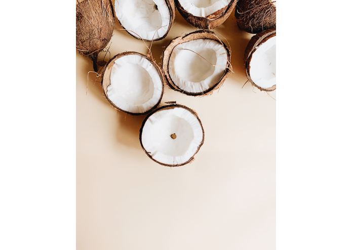 FRUITS2 – screenshot 13