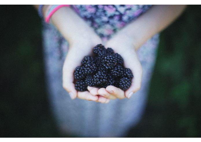 FRUITS2 – screenshot 15