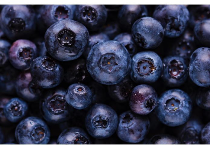 FRUITS2 – screenshot 16