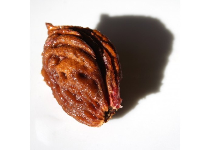 FRUITS2 – screenshot 23