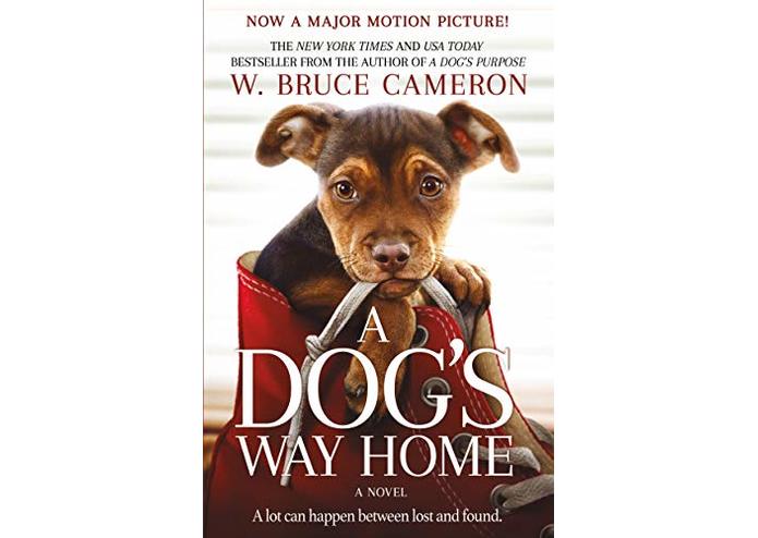 CompassionateBestFriends – screenshot 1