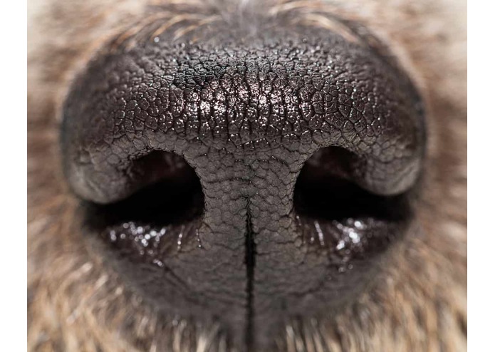 CompassionateBestFriends – screenshot 2