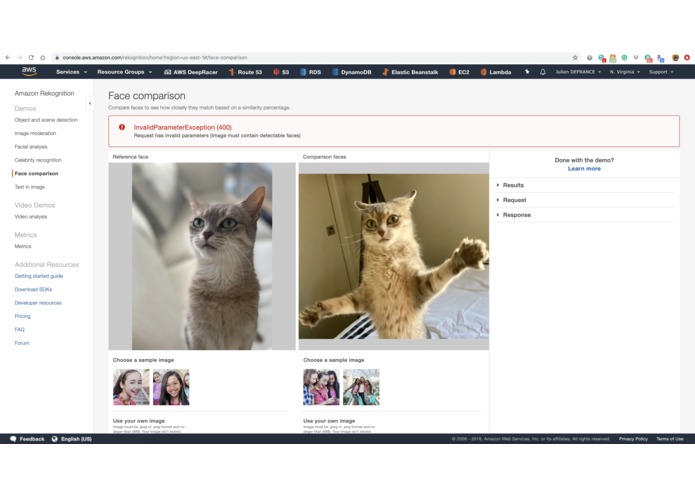Best Friends: Saving Noses Is Fundamental – screenshot 1