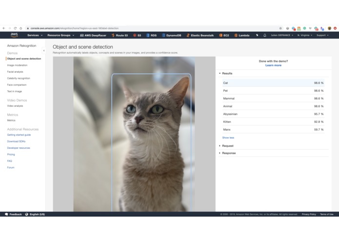 Best Friends: Saving Noses Is Fundamental – screenshot 2