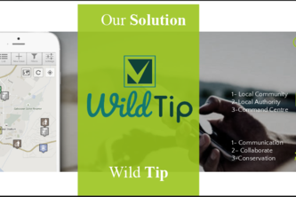 wildTip