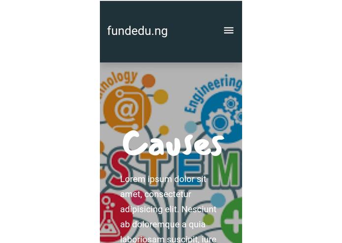 fundEDU.ng – screenshot 1