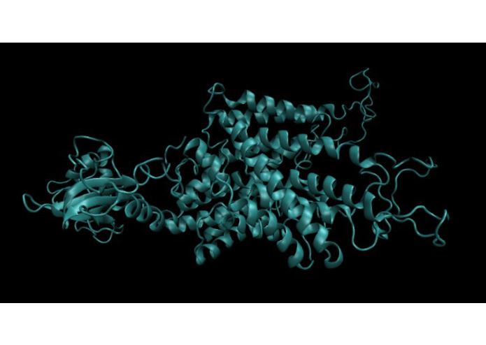 Dent_challenge_JPRMM – screenshot 1