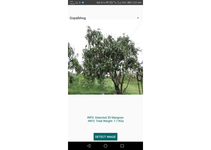 Bari mango – screenshot 6