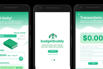 budgetbuddy